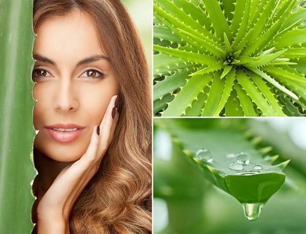 omlazující maska ​​s aloe